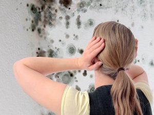 xử lý tường ẩm mốc