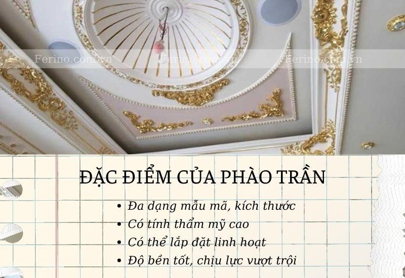 đặc điểm của phào trần nhà