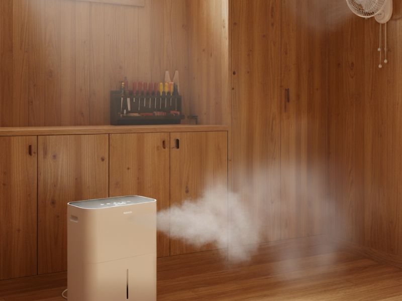 gỗ căm xe có bị mối mọt không